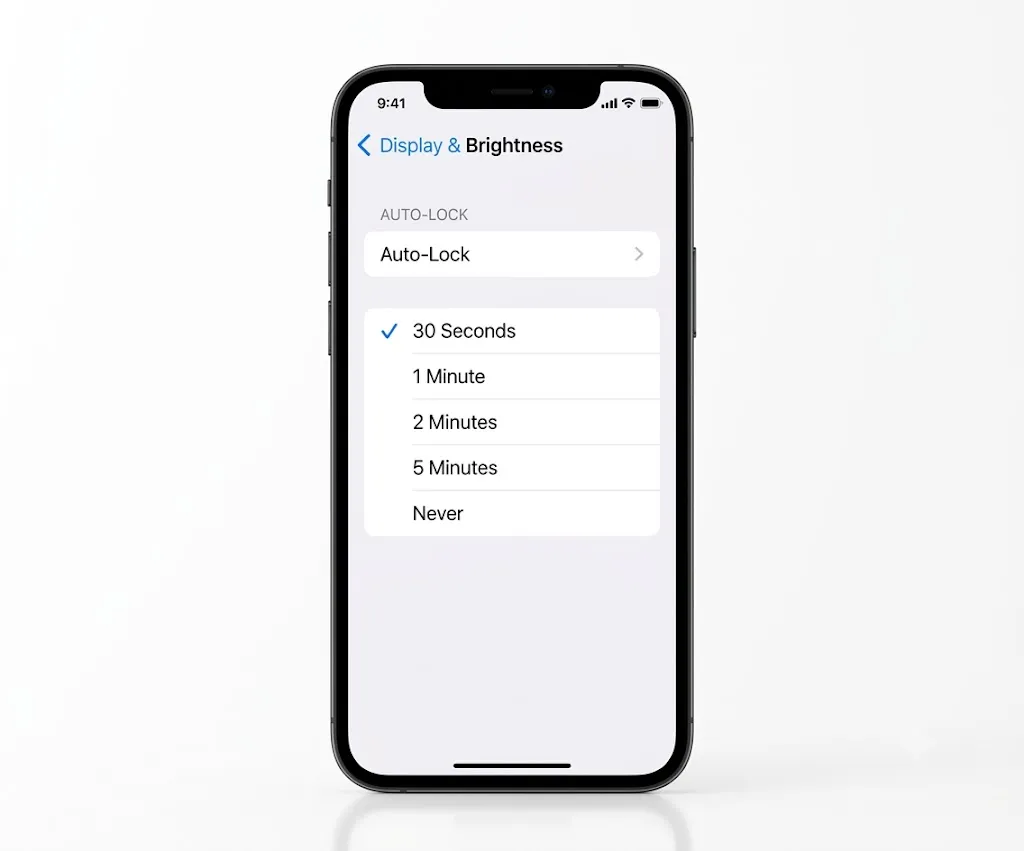 iPhone